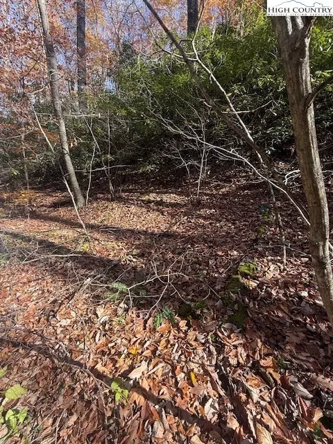 tbd Old Hwy 16, Jefferson, NC 28640
