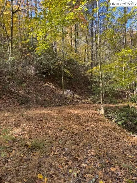 78 Holleridge Rd, Ferguson, NC 28624