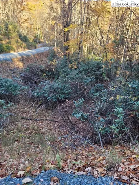 251 Poplar Dr, Beech Mountain, NC 28604 photo 3