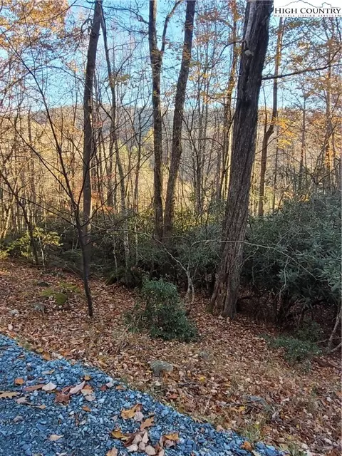 251 Poplar Dr, Beech Mountain, NC 28604