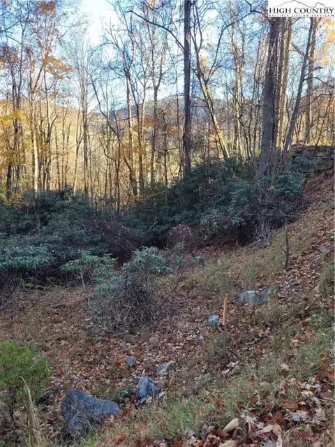 251 Poplar Dr, Beech Mountain, NC 28604 photo 2