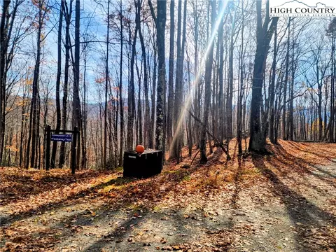 201 Sourwood Ln, Beech Mountain, NC 28604