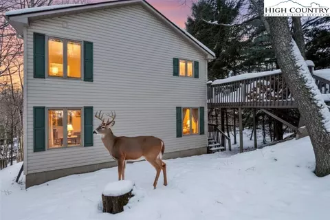 101 Doe Ln, Beech Mountain, NC 28604