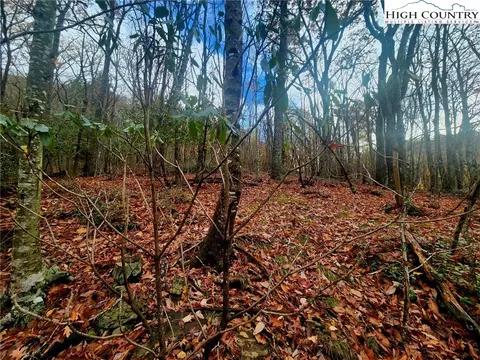 Other - 2876 Howards Creek Rd, Boone, NC 28607 photo 25 of 29