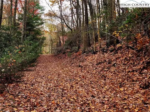 Other - 2876 Howards Creek Rd, Boone, NC 28607 photo 10 of 29