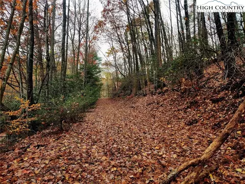 Other - 2876 Howards Creek Rd, Boone, NC 28607 photo 11 of 29