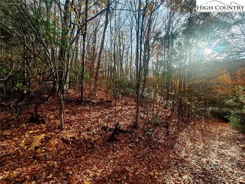 Other - 2876 Howards Creek Rd, Boone, NC 28607 photo 12 of 29