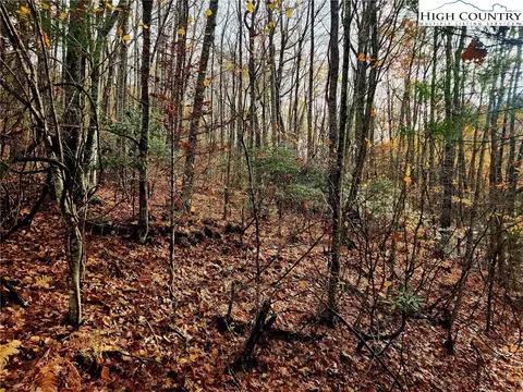 Other - 2876 Howards Creek Rd, Boone, NC 28607 photo 13 of 29
