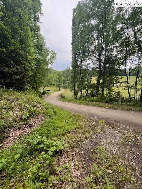tbd Big Ivy Rd Benge Ashe Rd, Purlear, NC 28665 photo 7