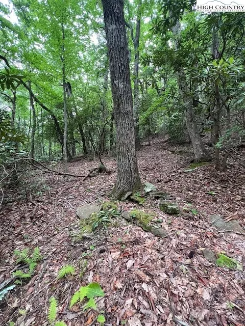 tbd Big Ivy Rd Benge Ashe Rd, Purlear, NC 28665 photo 9