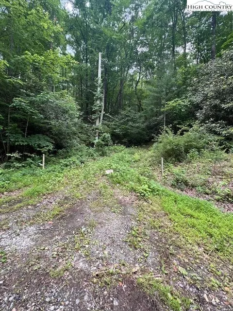 tbd Big Ivy Rd Benge Ashe Rd, Purlear, NC 28665 photo 8