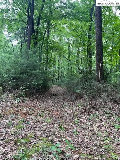 tbd Big Ivy Rd Benge Ashe Rd, Purlear, NC 28665 photo 5