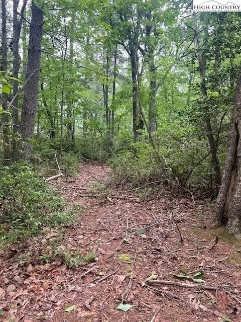 tbd Big Ivy Rd Benge Ashe Rd, Purlear, NC 28665 photo 10