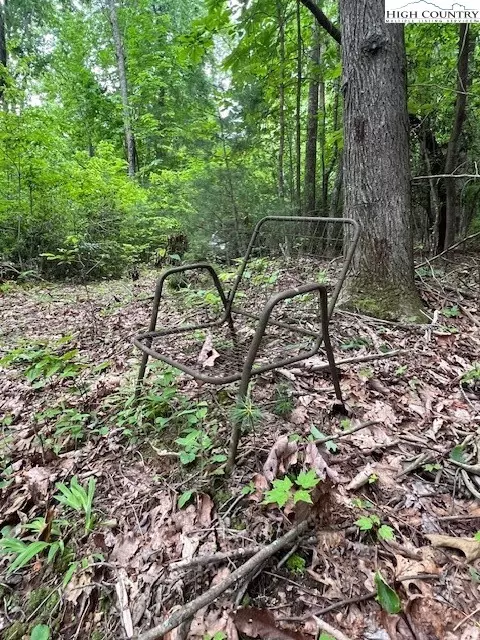 tbd Big Ivy Rd Benge Ashe Rd, Purlear, NC 28665 photo 6