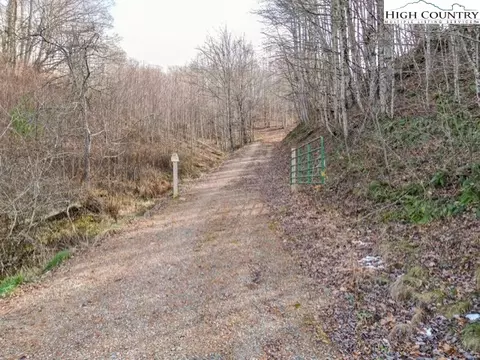 tbd Fred Wallace Rd, Trade, TN 37691