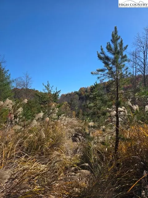 tbd Browntown Rd, Millers Creek, NC 28651