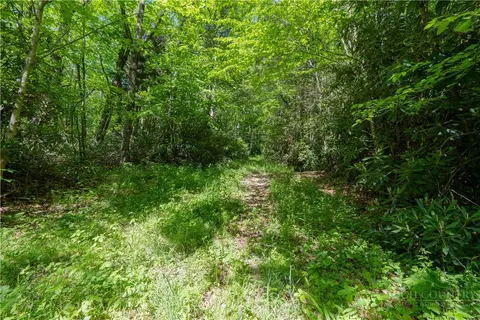 tbd Black Bear Trl, Blowing Rock, NC 28605