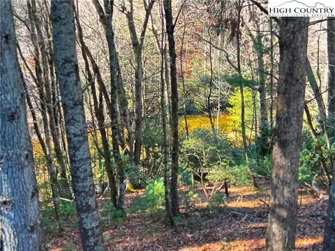 View/Area - 56 Buttons Ln, Sparta, NC 28675 photo 1 of 1