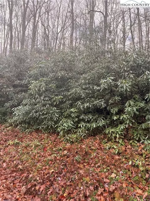 tbd Buckeye Creek Rd, Beech Mountain, NC 28622