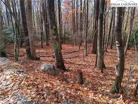 205 Rhododendron Dr, Beech Mountain, NC 28604