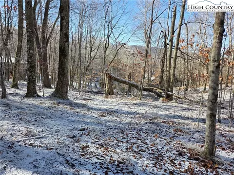 107 Spring Branch Rd, Beech Mountain, NC 28604