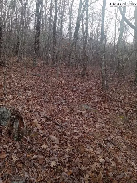 tbd Middle Fork Ln, Whitetop, VA 24292