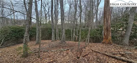 lot3 Raven Rock Dr, Boone, NC 28607