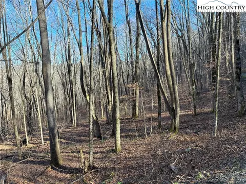 tbd Wolfsbane Trl, Todd, NC 28684 photo 6