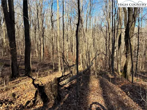 tbd Wolfsbane Trl, Todd, NC 28684 photo 11