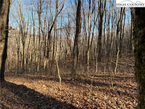 tbd Wolfsbane Trl, Todd, NC 28684 photo 14