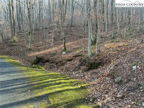 tbd Wolfsbane Trl, Todd, NC 28684 photo 2