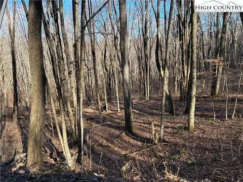 tbd Wolfsbane Trl, Todd, NC 28684 photo 3