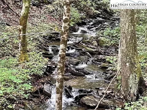 tbd Wolfsbane Trl, Todd, NC 28684 photo 13
