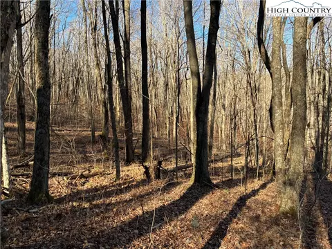 tbd Wolfsbane Trl, Todd, NC 28684 photo 16