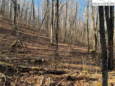 tbd Wolfsbane Trl, Todd, NC 28684 photo 12