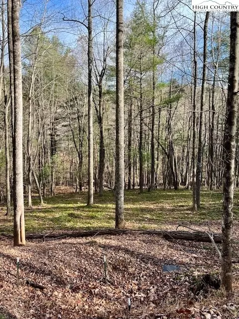 tbd Doe Valley Ln, Deep Gap, NC 28618 photo 13