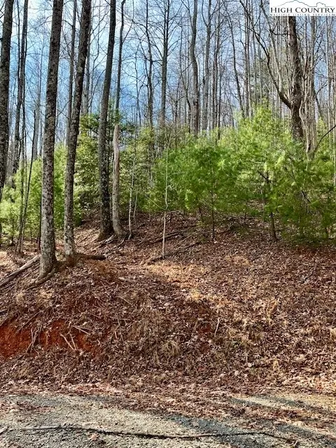 tbd Doe Valley Ln, Deep Gap, NC 28618 photo 12