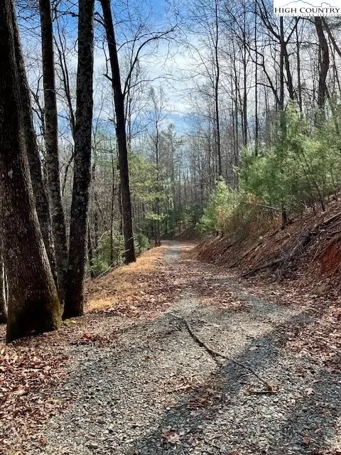 tbd Doe Valley Ln, Deep Gap, NC 28618 photo 10