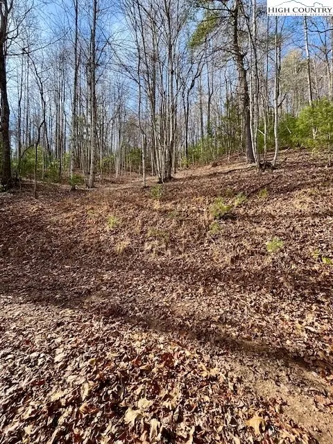 tbd Doe Valley Ln, Deep Gap, NC 28618 photo 8