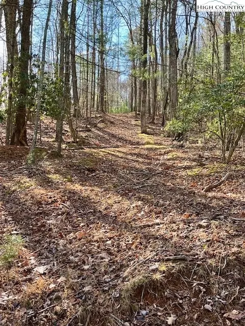 tbd Doe Valley Ln, Deep Gap, NC 28618 photo 14