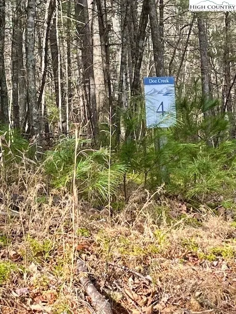 tbd Doe Valley Ln, Deep Gap, NC 28618 photo 3