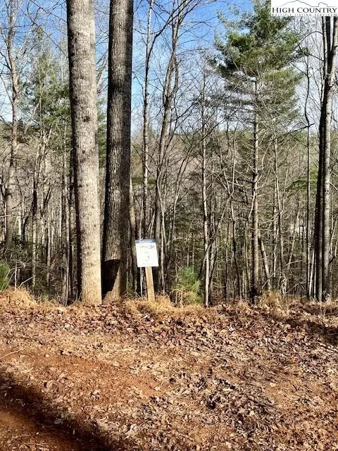 tbd Doe Valley Ln, Deep Gap, NC 28618 photo 9