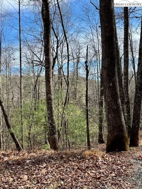tbd Doe Valley Ln, Deep Gap, NC 28618