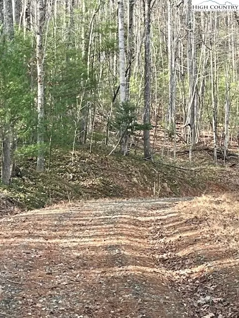 tbd Doe Valley Ln, Deep Gap, NC 28618 photo 7
