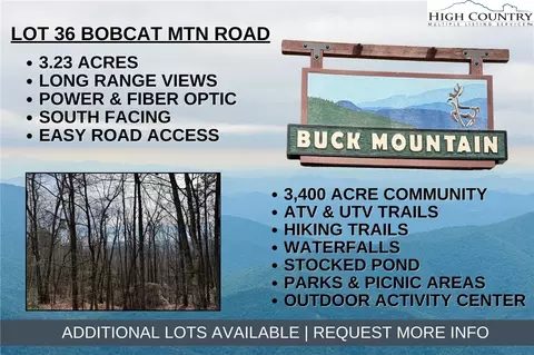lot36 Bobcat Mountain Rd, Purlear, NC 28665