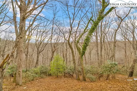 Other - 651 Rivers Edge Rd, Sparta, NC 28675 photo 5 of 9