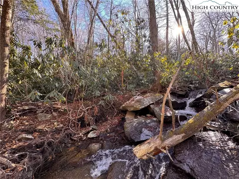 117 Wild Daisy Ln, Beech Mountain, NC 28604 photo 4