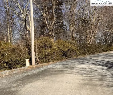 117 Wild Daisy Ln, Beech Mountain, NC 28604 photo 9