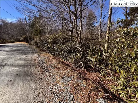 117 Wild Daisy Ln, Beech Mountain, NC 28604
