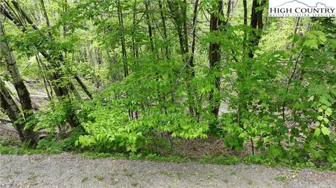 206 Wild Daisy Ln, Beech Mountain, NC 28604